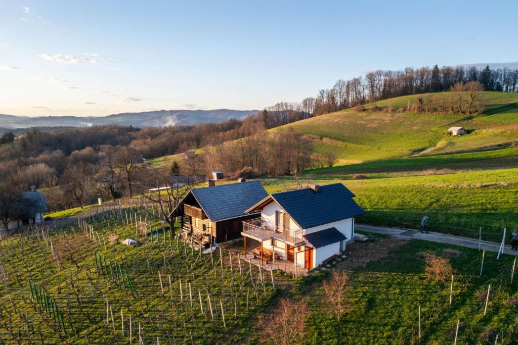an aerial view of a house in a vineyard at Vineyard Cottage Mayolka - Happy Rentals in Novo Mesto
