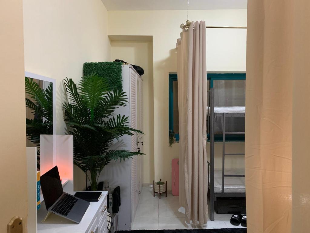 Zimmer mit einem Laptop auf einem Schreibtisch mit einer Pflanze in der Unterkunft The Hostel in Dubai