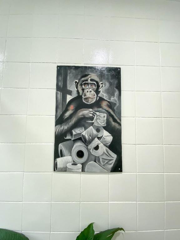 Fotografie z fotogalerie ubytování Wild Monkeys Hostel v destinaci Moalboal