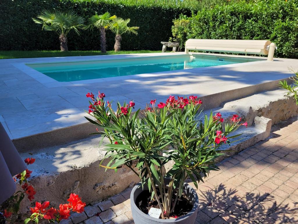 Bazén v ubytování La petite parenthèse nebo v jeho okolí