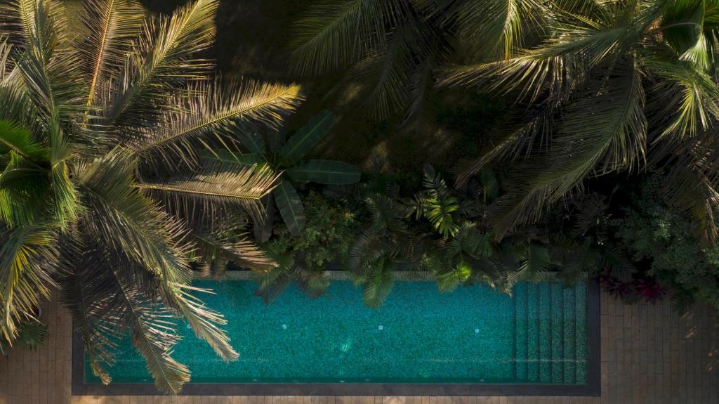 Gallery image of Sohonos 2 · Luxurious 3BHK with Private Pool in Goa