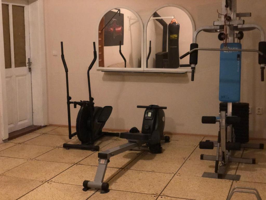 Fitness centrum a/nebo fitness zařízení v ubytování Penzion B5