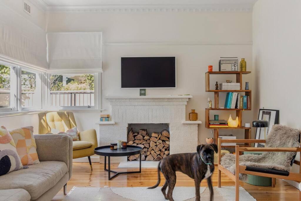 a dog standing in a living room with a fireplace at Hazel House Ballarat in Wendouree