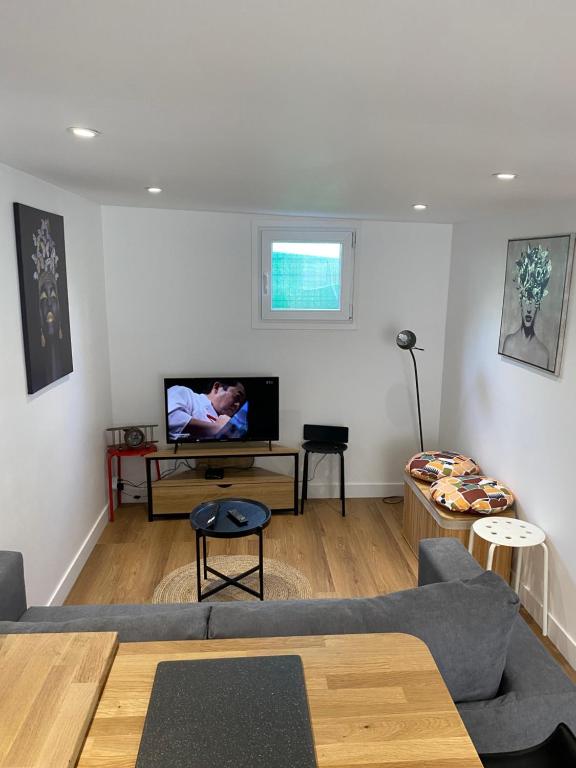 un salon avec un canapé et une télévision dans l'établissement Petit chalet, à Aubervilliers