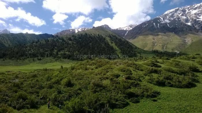 una vista aérea de un campo verde con montañas en Emirguesthouse, en Akkyya