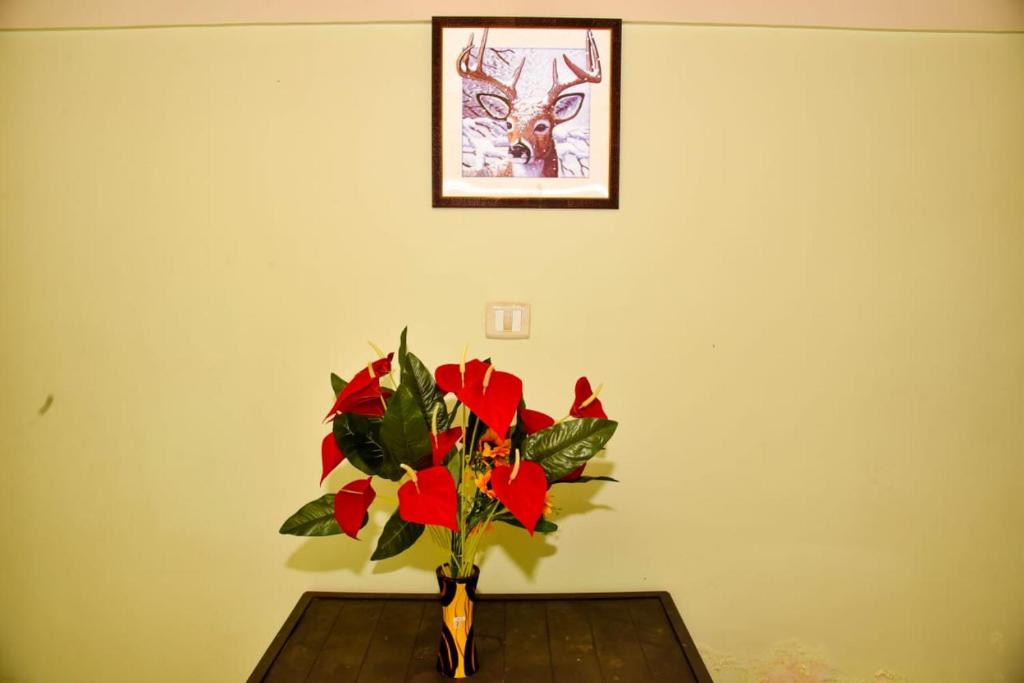 Fotografie z fotogalerie ubytování Phoenix View Stay Ooty v destinaci Ooty