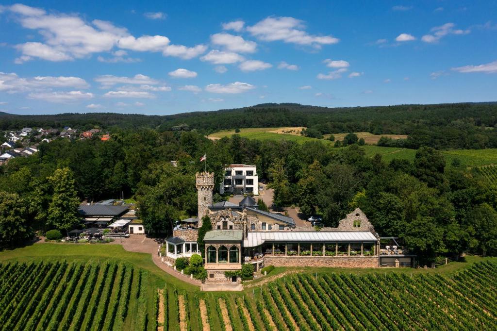 eine Luftansicht eines großen Anwesens mit Weinbergen in der Unterkunft Relais & Châteaux Hotel Burg Schwarzenstein in Geisenheim