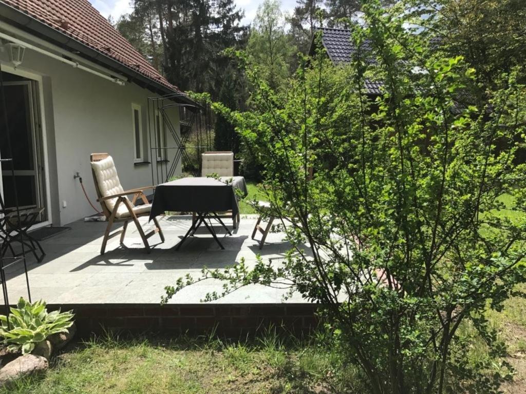 賴因斯貝格的住宿－Waldoase 1，天井配有两把椅子和一张桌子