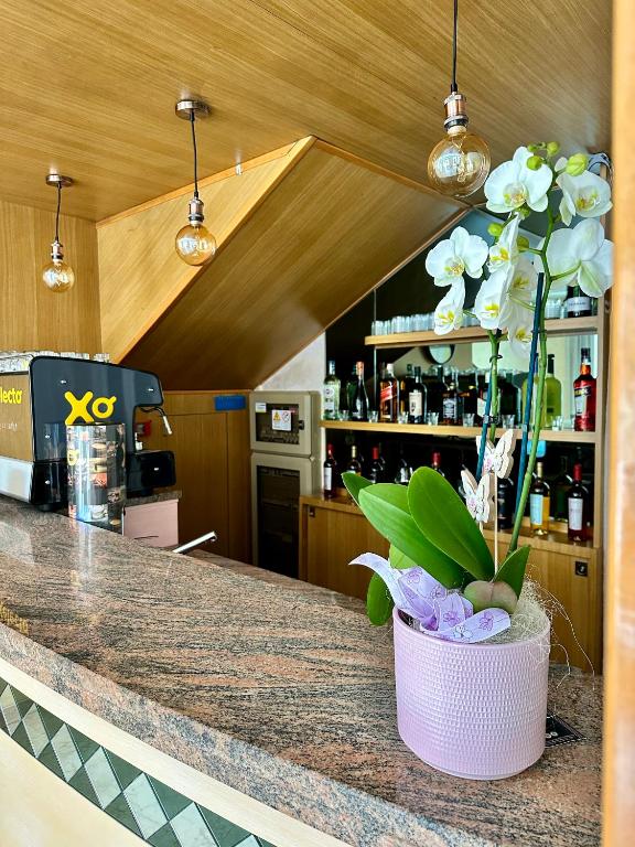 Fotografie z fotogalerie ubytování Hotel Enna Rimini v Rimini