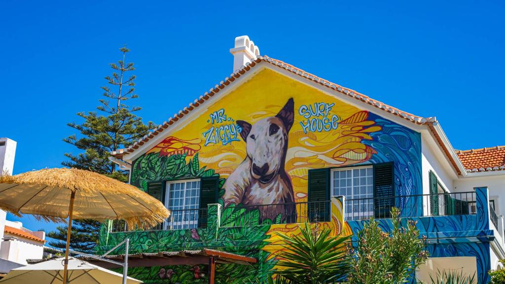 Mr Ziggy's Surfhouse