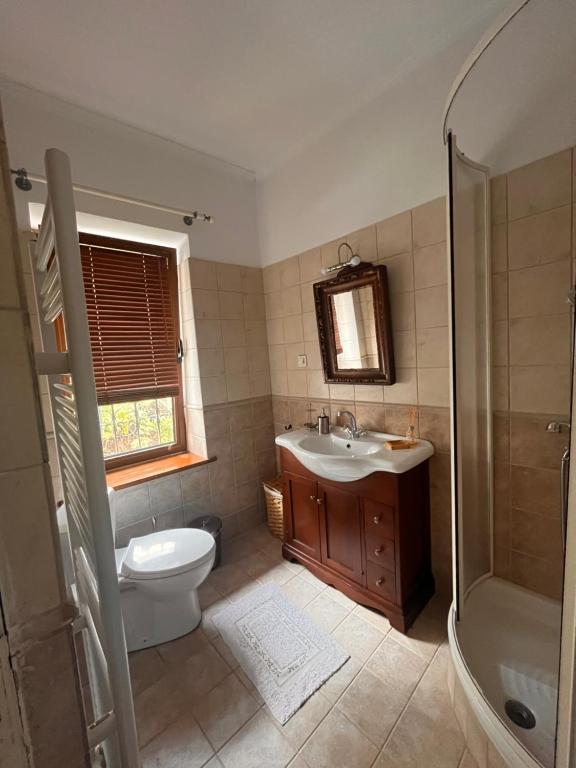 y baño con aseo, lavabo y ducha. en ΚΥΑΝΟΝ παραδοσιακή μονοκατοικία στην Φλώρινα, en Florina
