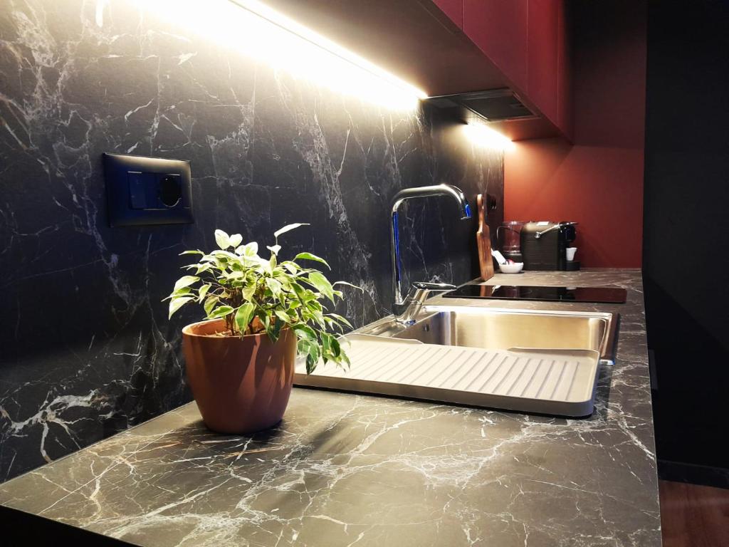a kitchen counter with a sink and a potted plant at City Center Tirana Urban Condo in Tirana