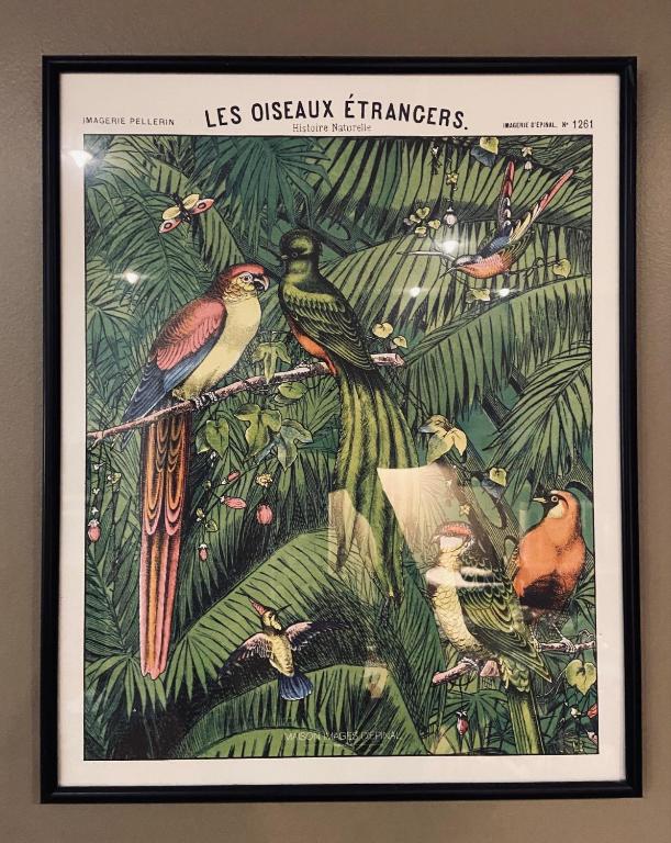 Fotografie z fotogalerie ubytování Hotel Le Pelican v destinaci Charleville-Mézières