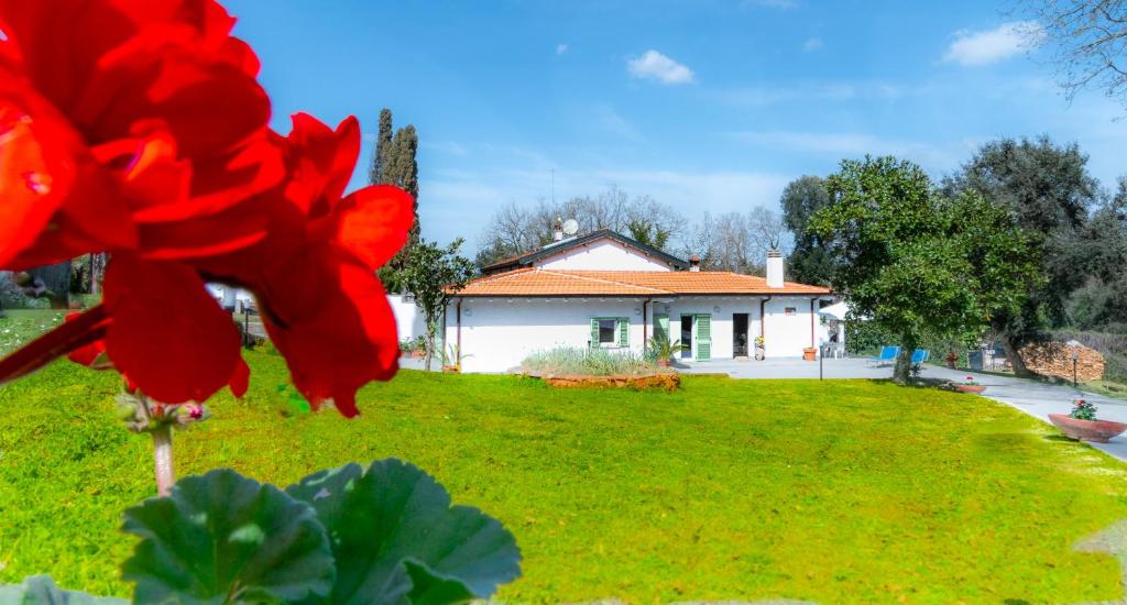 a house with a red flower in front of a yard at Green Woody Home in Rome