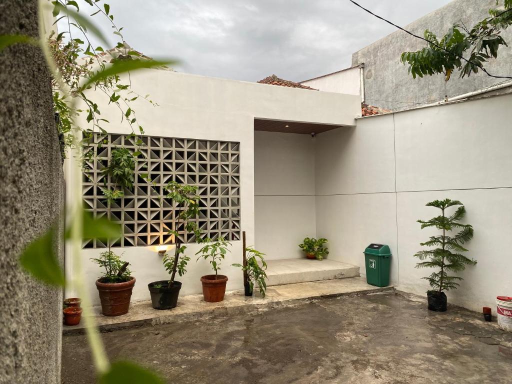 a courtyard with potted plants on a white building at Sare Living Homestay in Yogyakarta