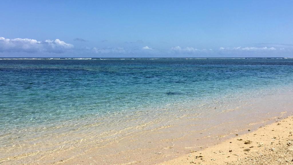 - une plage d'eau bleue, de sable et d'océan dans l'établissement Plage & Repos - Hermitage les bains, à La Saline les Bains