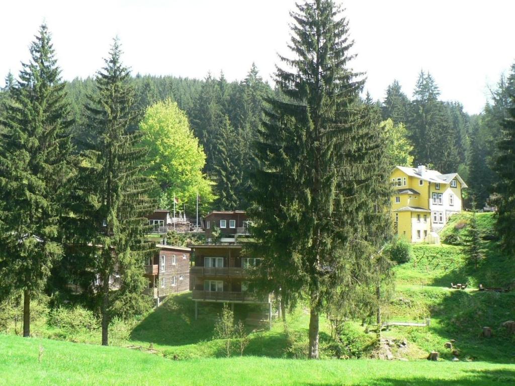 uma casa no meio de um campo com árvores em Ferienhaus für 6 Personen ca 96 qm in Großbreitenbach, Thüringen Rennsteig em Großbreitenbach