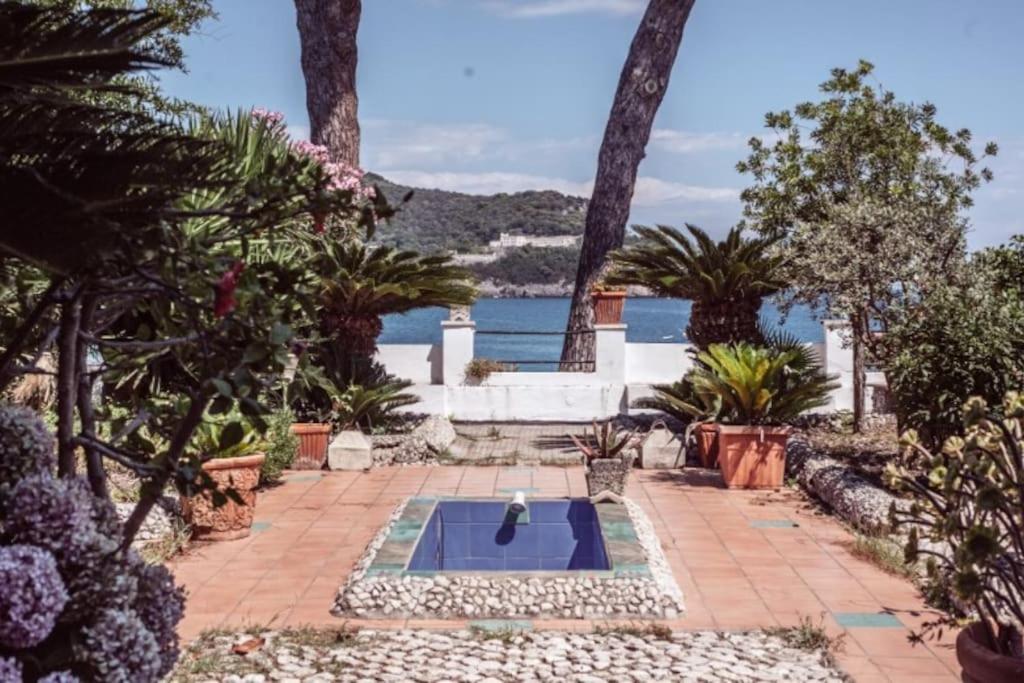 a backyard with a swimming pool and palm trees at In Vacanza a Gaeta - Villa Nelda in Gaeta
