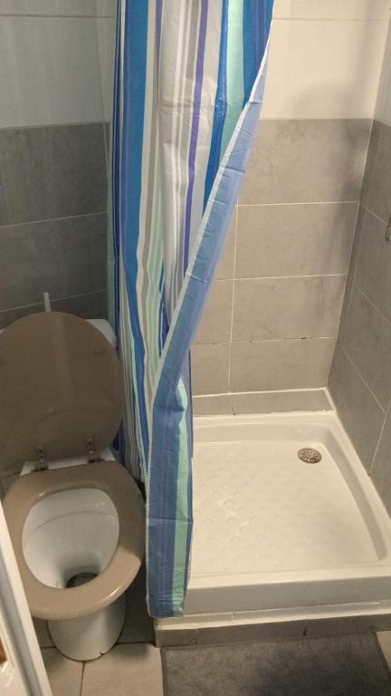 a bathroom with a shower curtain next to a toilet at Le mini Longchamp in Marseille
