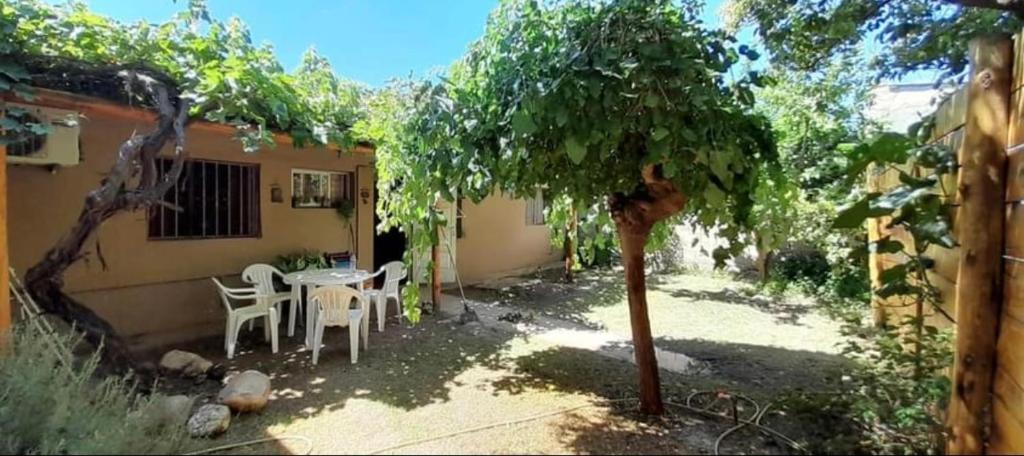 einen kleinen Garten mit einem Tisch und einem Baum in der Unterkunft Departamento en Villa Dolores, Traslasierra in Villa Dolores