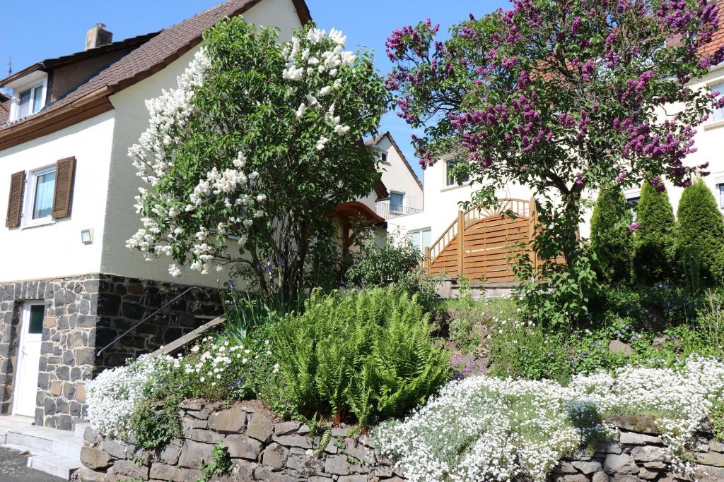 un jardin avec des fleurs blanches en face d'une maison dans l'établissement Ferienhaus Apfelblüte, à Schotten