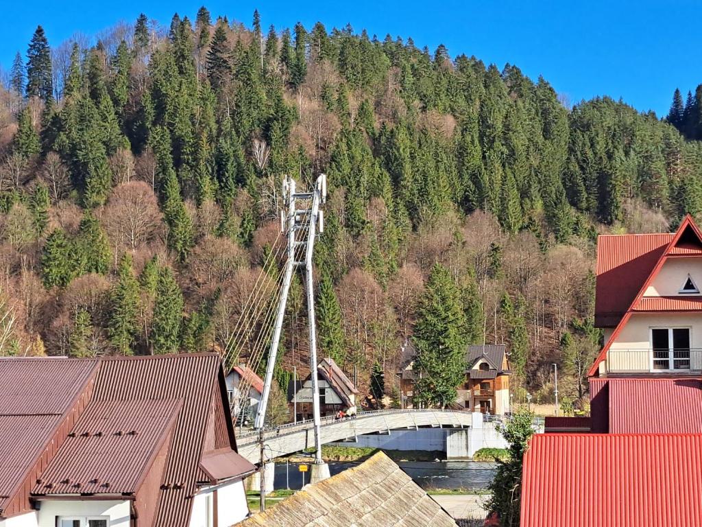 Príroda v okolí privátu