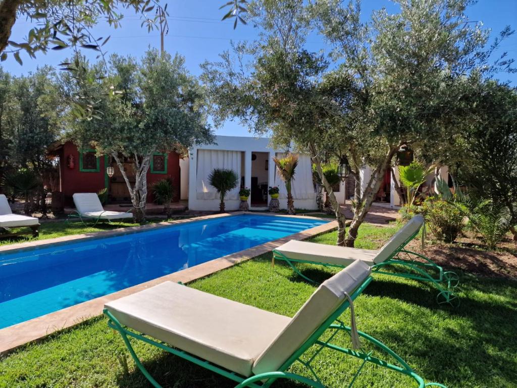 un cortile con piscina, sedie e alberi di Manzal Lahbab (Pavillons, Bungalows, Piscine et Jardins) a Marrakech