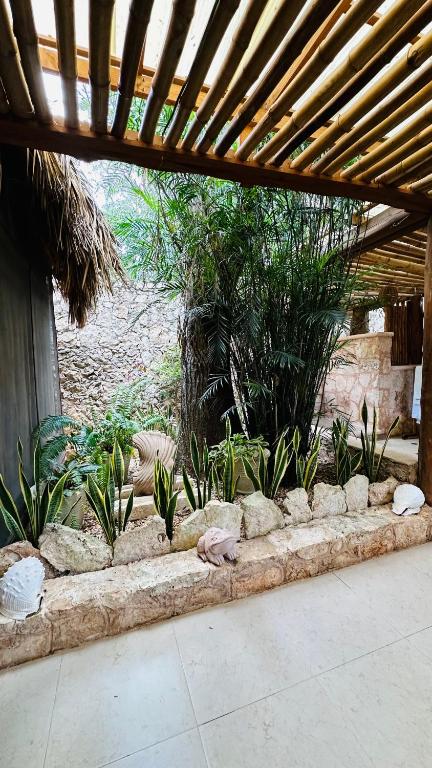 Zahrada ubytování Casa Quetzal Hotel