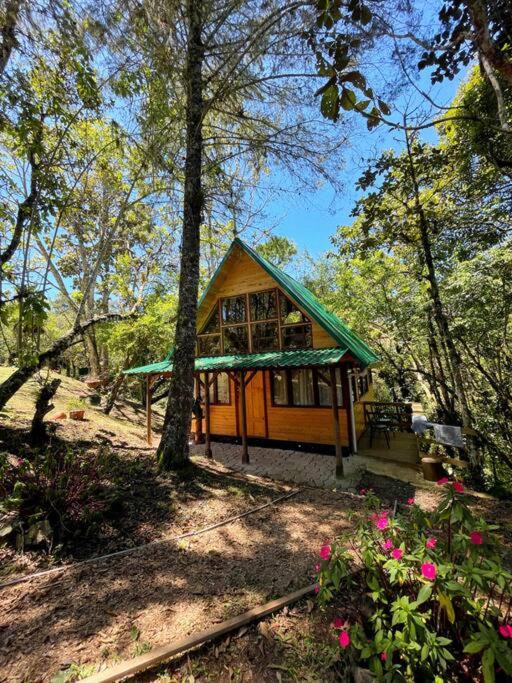 een klein huis met een groen dak in het bos bij Chalet & Kiosko dónde Piedra in San Isidro