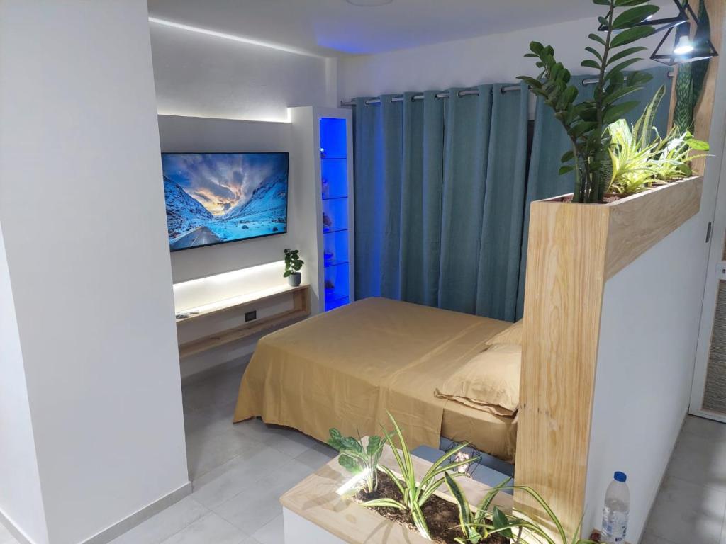 El Yaque的住宿－Yaque Suite，一间卧室配有一张床和一台平面电视
