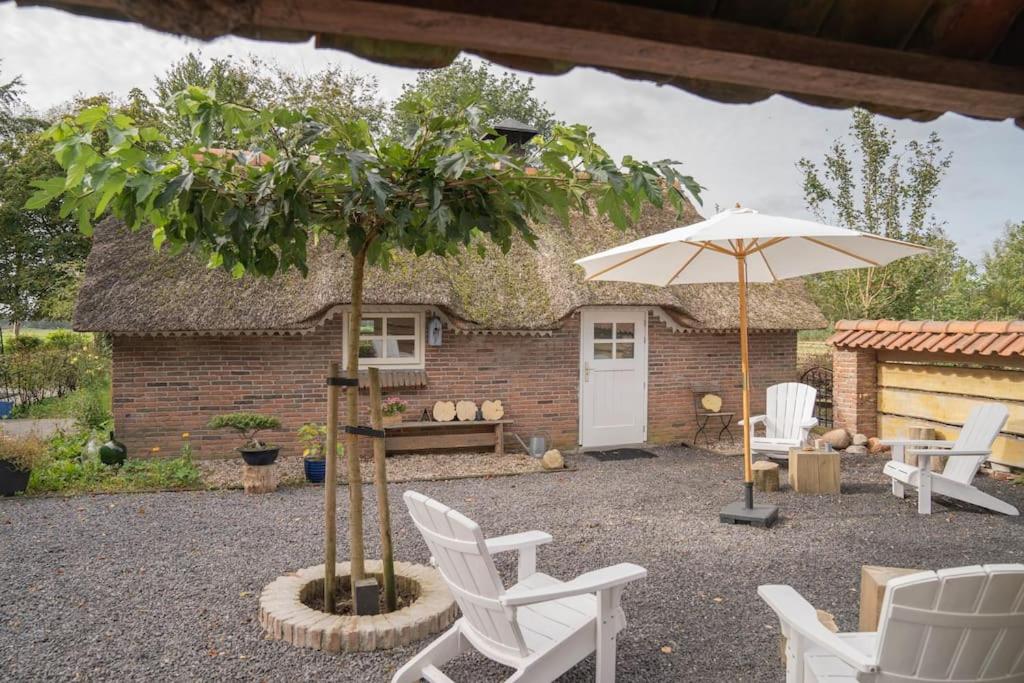a patio with a tree and chairs and an umbrella at Reestdal Cottage in De Wijk