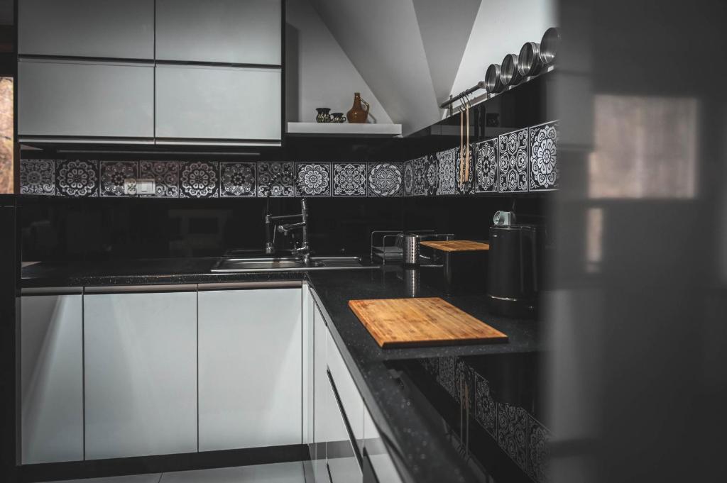 Kuchyňa alebo kuchynka v ubytovaní KANIA Apartamenty - Zakopane
