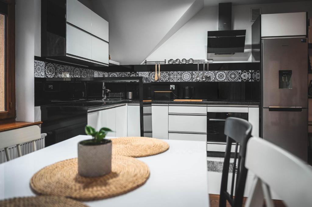 Kuchyňa alebo kuchynka v ubytovaní KANIA Apartamenty - Zakopane