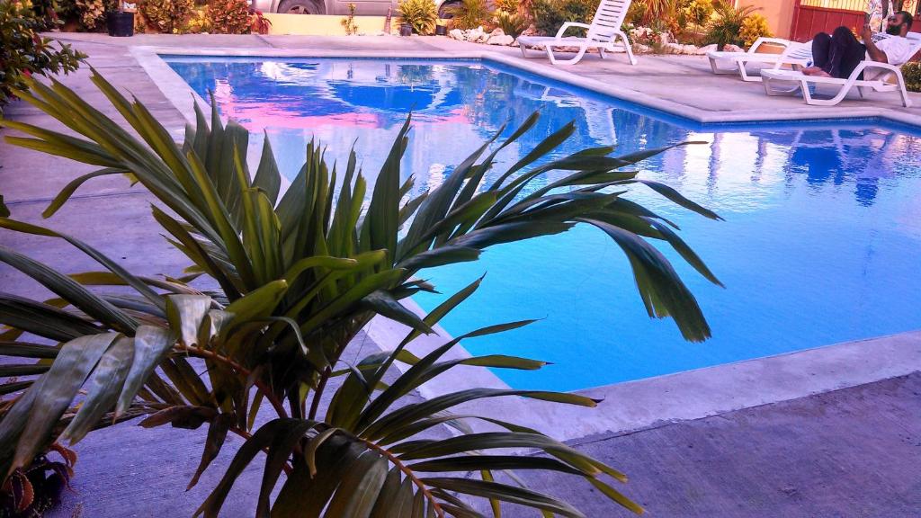 Fotografie z fotogalerie ubytování Apartahotel Next Nivel v destinaci Punta Cana
