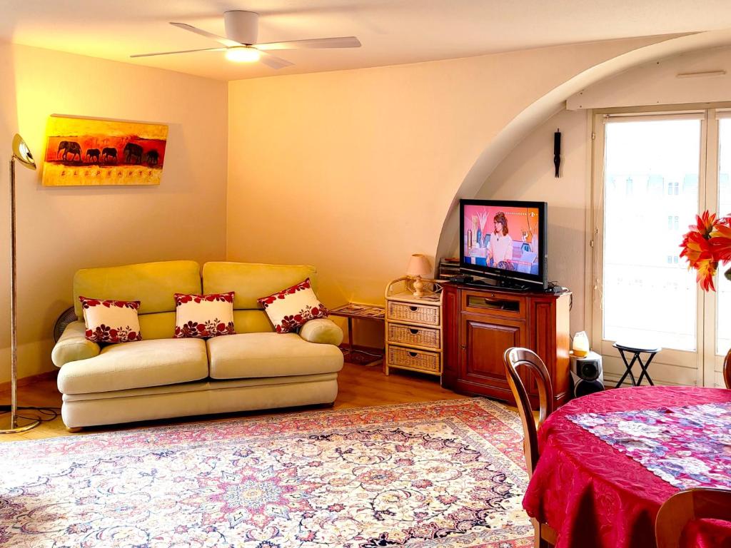 een woonkamer met een bank en een televisie bij L' Appart BELLE VUE GARE ET CENTRE 10 mn à pied GARAGE GRATUIT in Colmar
