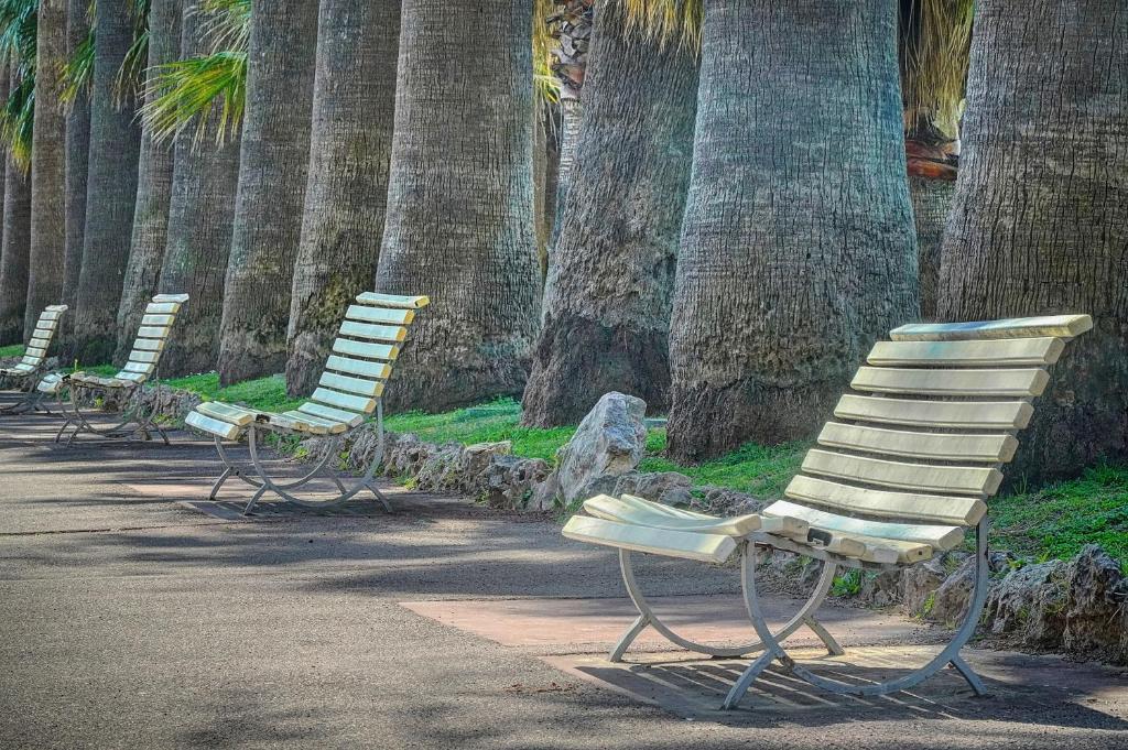 Fotografia z galérie ubytovania Le Palm - 100m Plage - Croisette - Verrière Côte d’Azur v Cannes