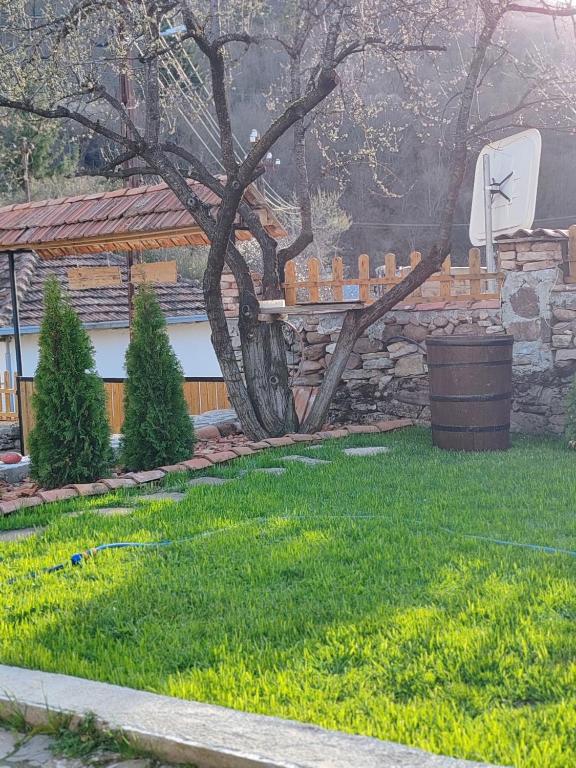 Zahrada ubytování Vila Antić