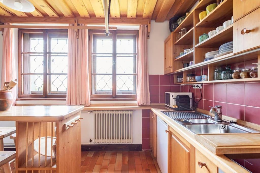 Kuchyň nebo kuchyňský kout v ubytování Spacious And Historic Villa With Bled Castle View