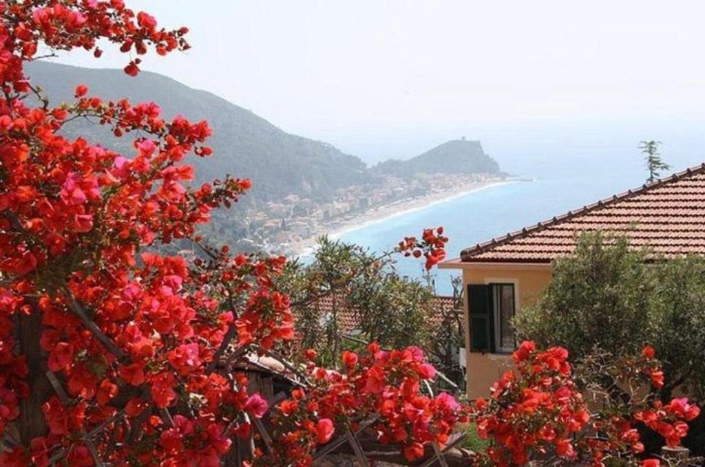 a tree with red flowers in front of a view of the ocean at Agriturismo La Realidad in Finale Ligure