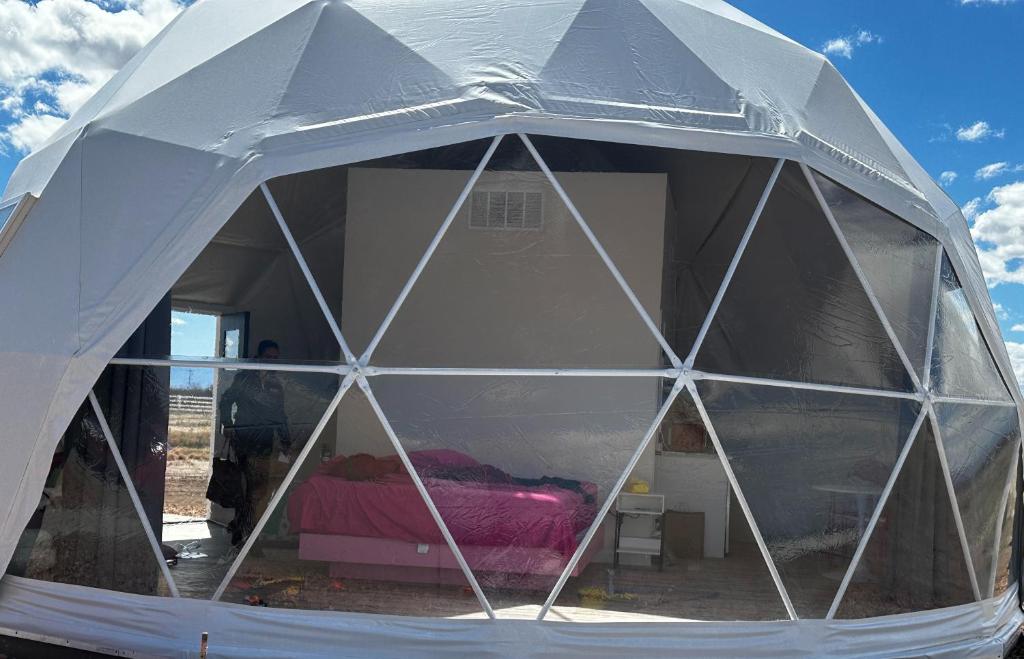a white tent with a bed inside of it at Barbie Dome in Willcox