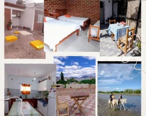 kolaż zdjęć różnych typów domów w obiekcie Hospedaje Las Dalias w mieście San José