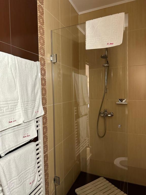 Koupelna v ubytování Hotel Ana