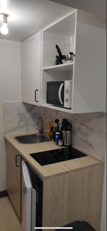 une petite cuisine avec un évier et un micro-ondes dans l'établissement Le petit Treguier, à Tréguier