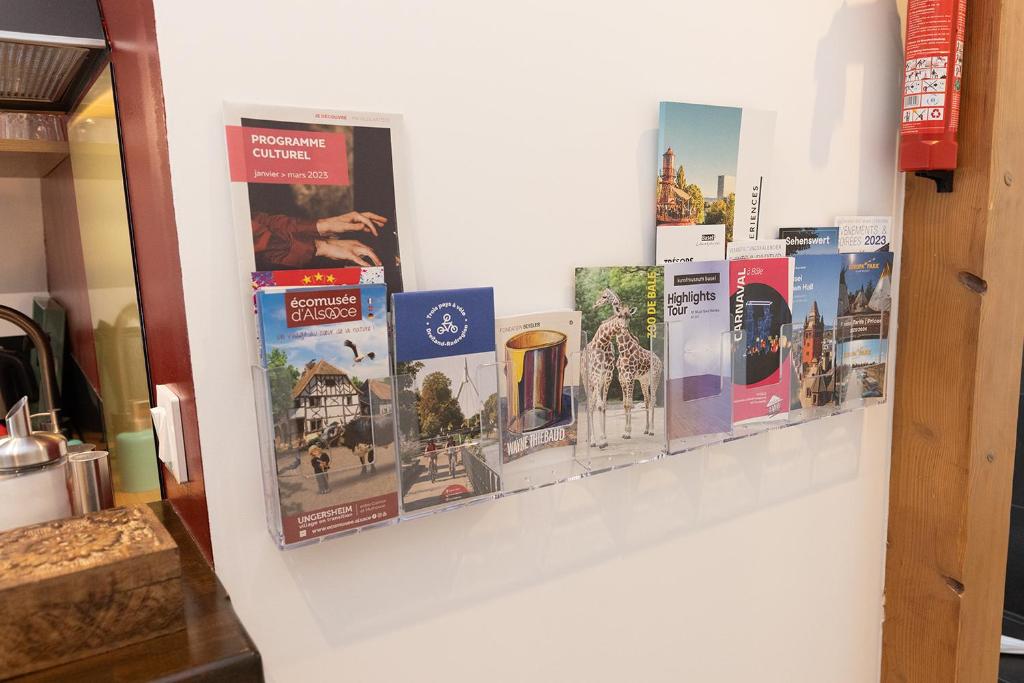 Quiet Private Studio - Personal Welcome - Basel – photo 24