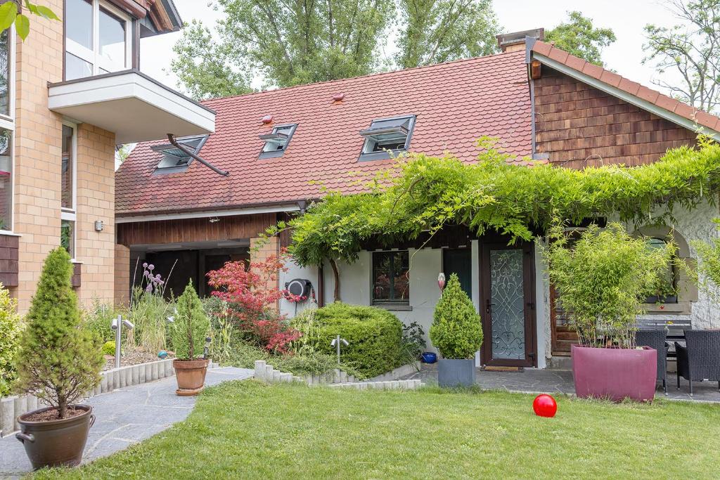 Quiet Private Studio - Personal Welcome - Basel – photo 3