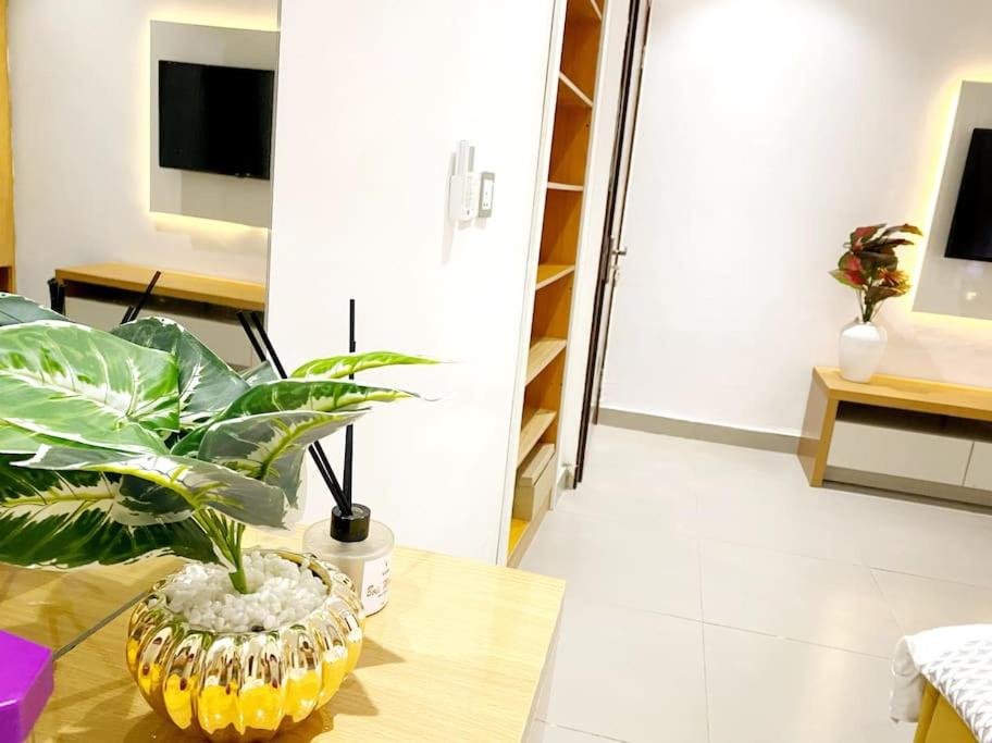 a plant sitting on a table in a living room at Luxurious 3Bedroom Apartment with Personal Chef in Maroko
