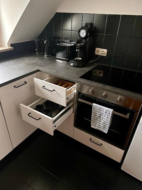 Kuchyň nebo kuchyňský kout v ubytování Sonnen Apartment
