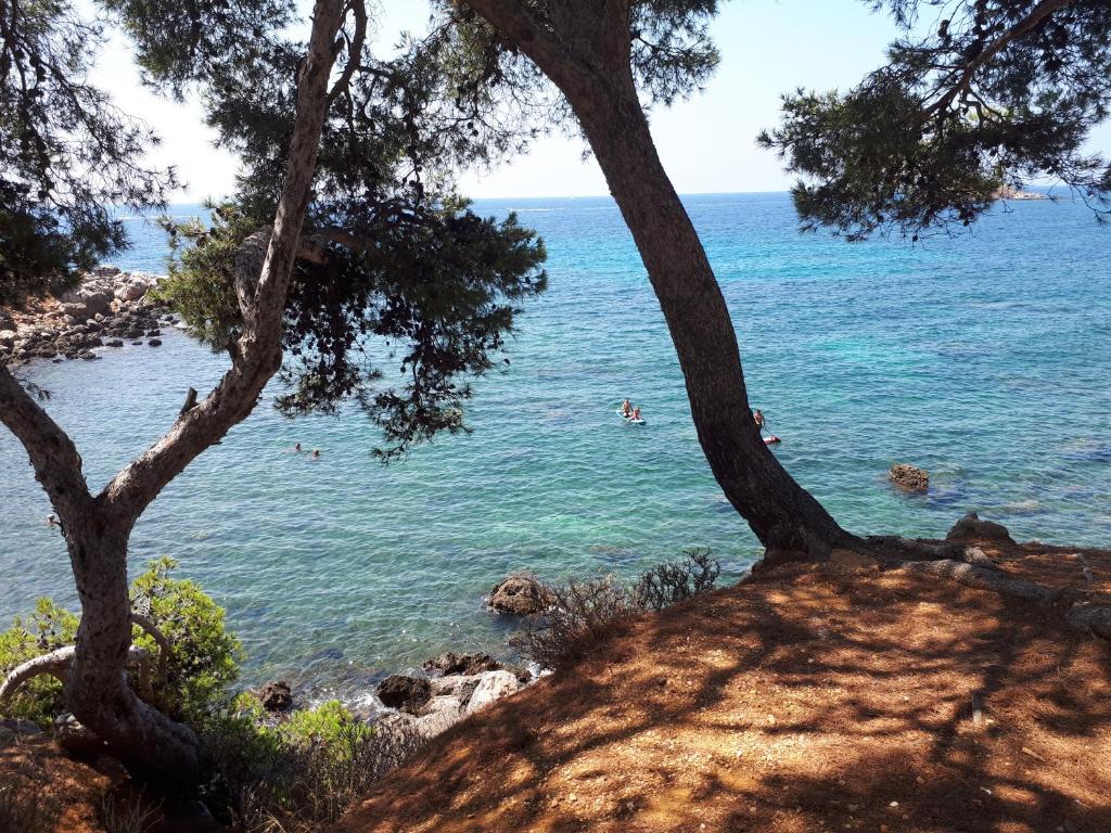 - une vue sur l'océan depuis une colline arborée dans l'établissement Bandol, T3, les pieds dans l'eau, presqu'île du Capelan, à Bandol