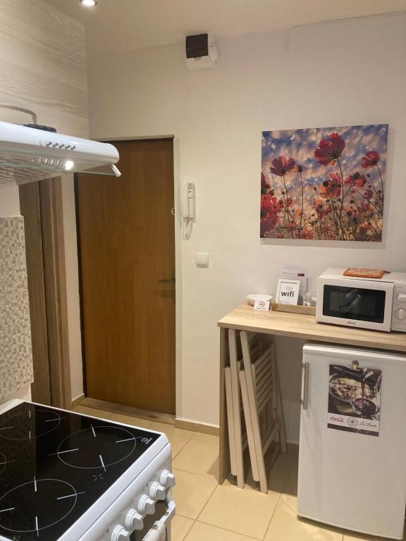 Apartmán neďaleko centra mestaにあるキッチンまたは簡易キッチン
