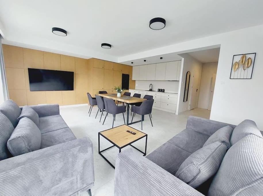 TV a/nebo společenská místnost v ubytování Przestronny apartament, ogródek, bezpłatne miejsca postojowe w garażu, AWG APARTMENTS